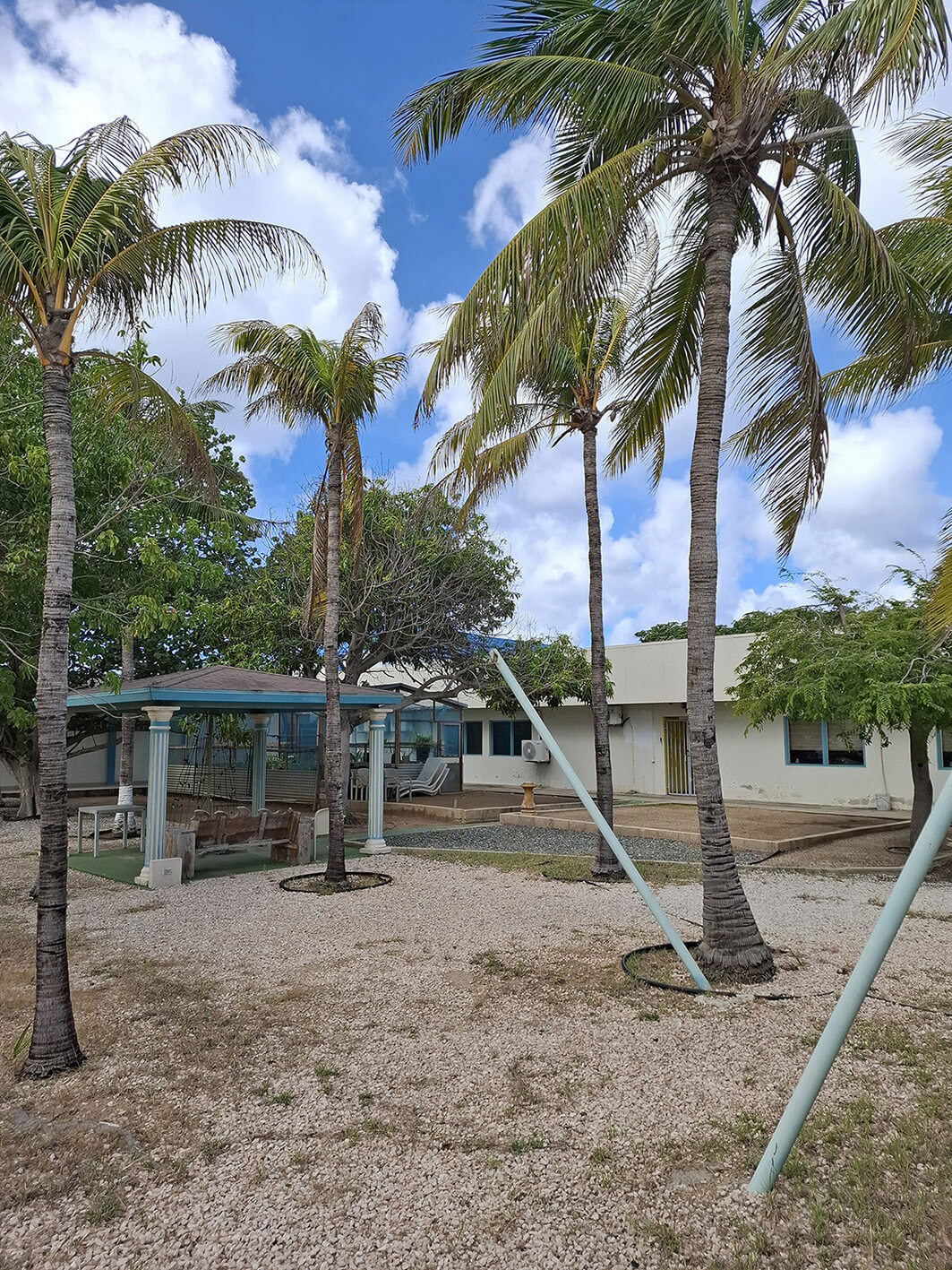 respaldo aruba