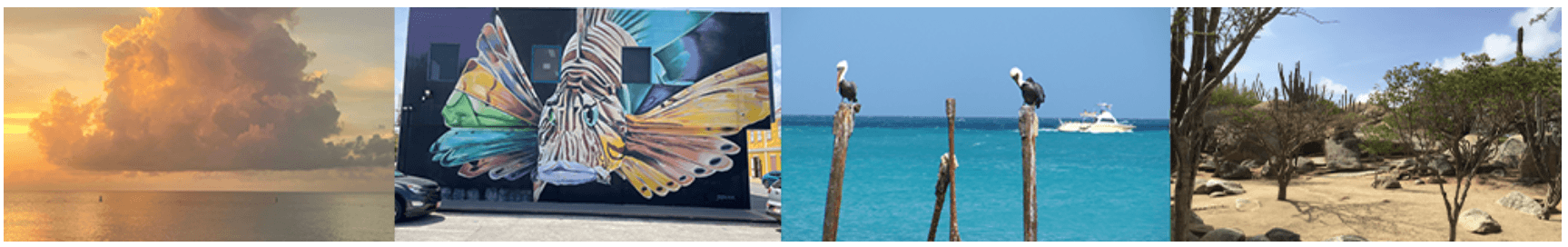 aruba 1