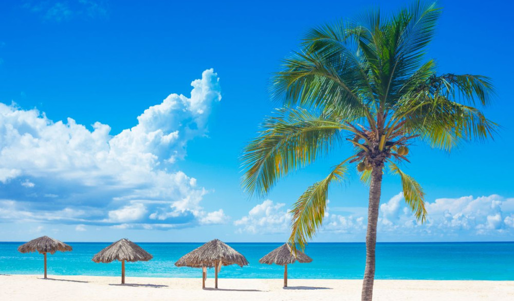 werken caribische eilanden