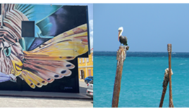 aruba 1