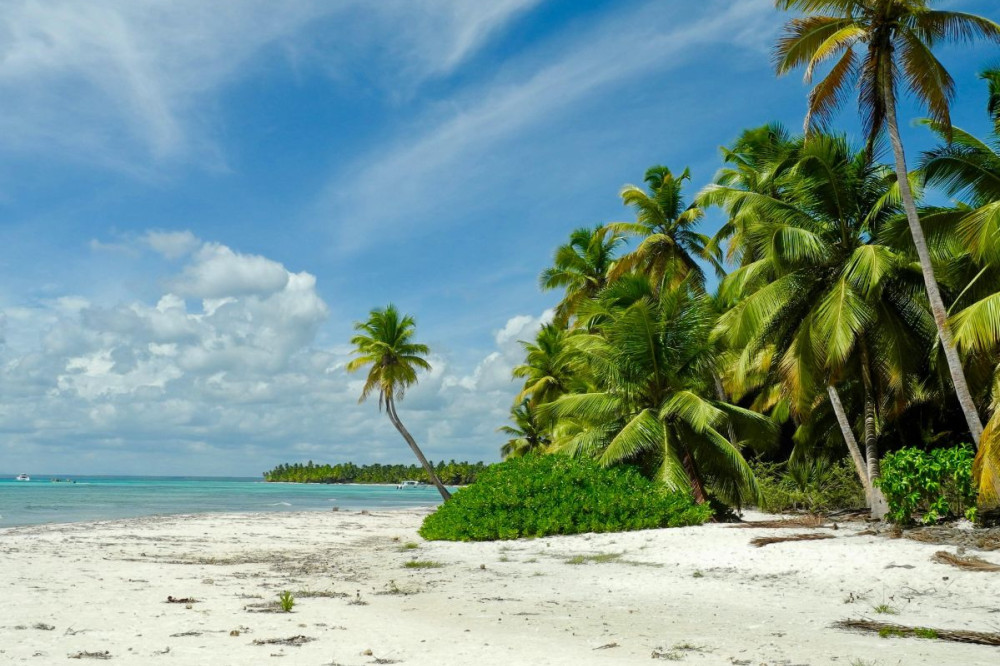 zaalarts op aruba