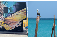 aruba 1