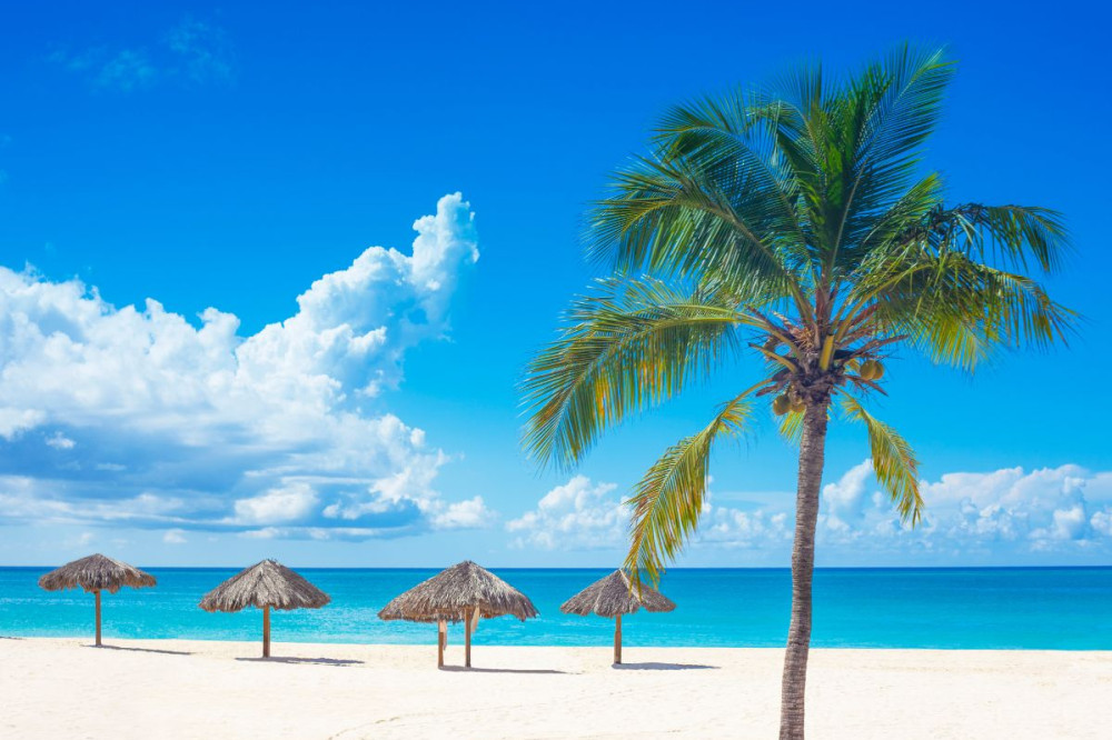 werken caribische eilanden