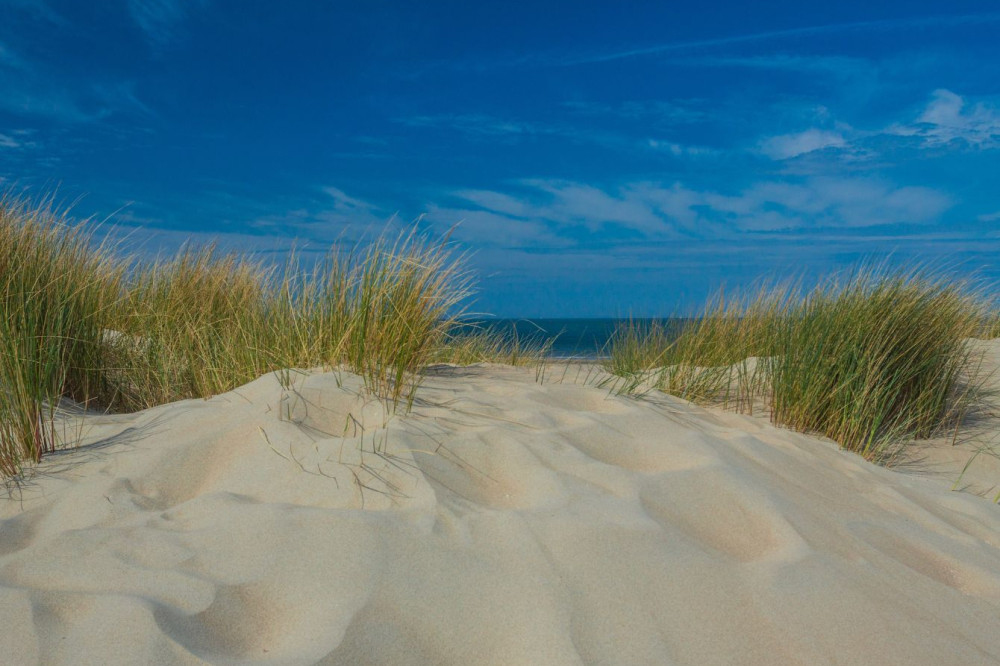 in zeeland bouwen we samen aan dermatologie
