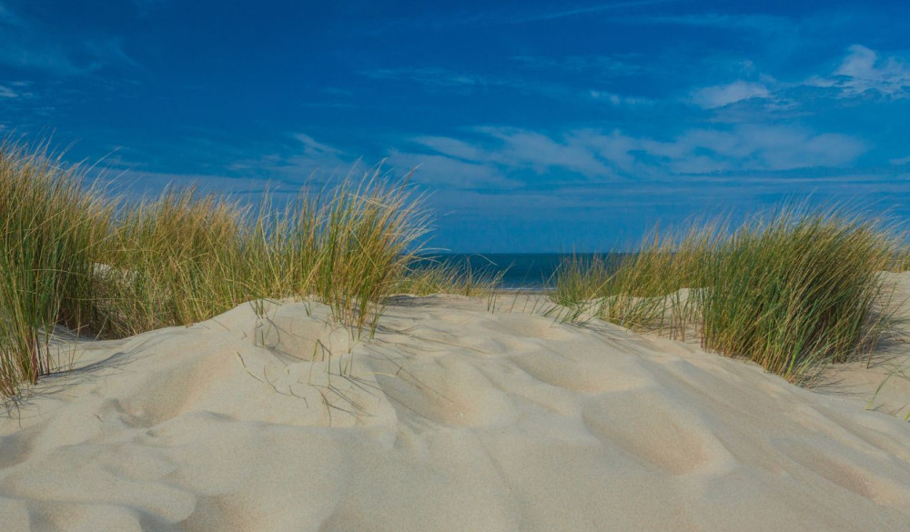 in zeeland bouwen we samen aan dermatologie