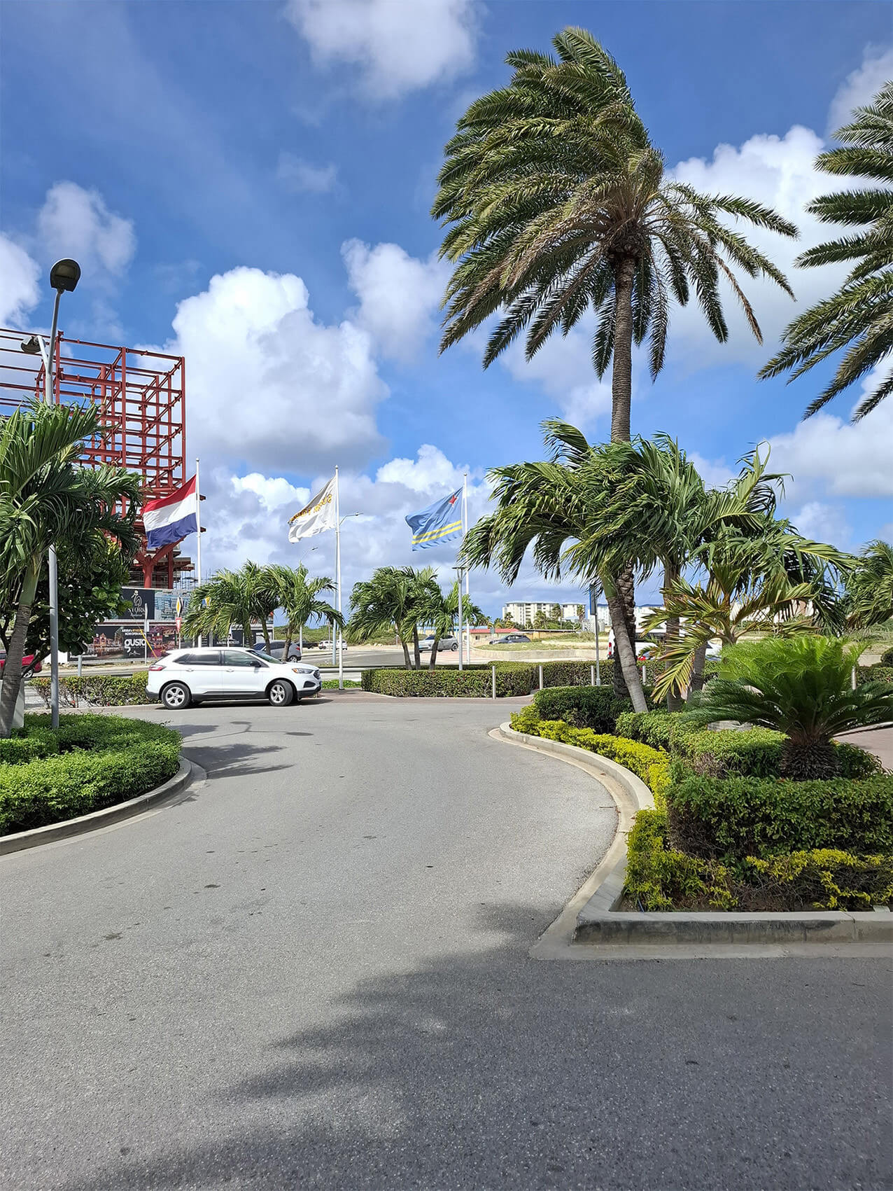 werken op aruba ggz